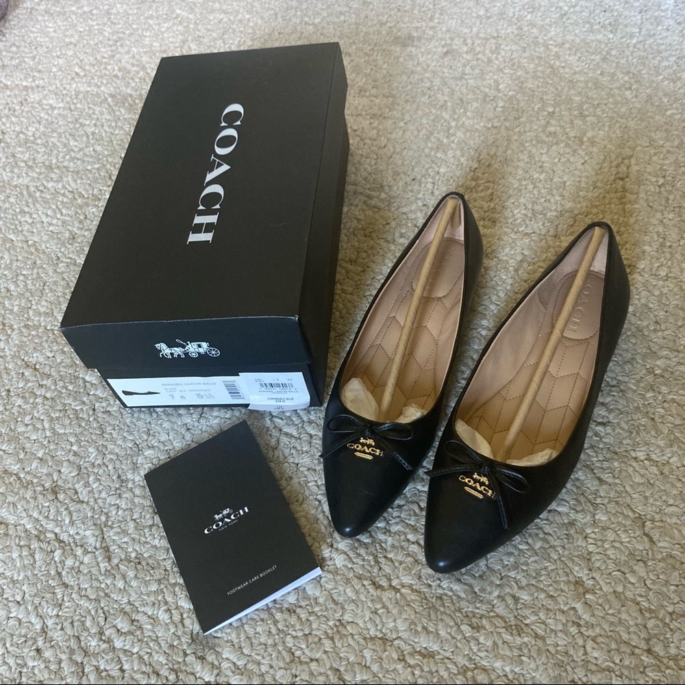 Coach Annabel Ballet